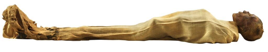 Ramses V