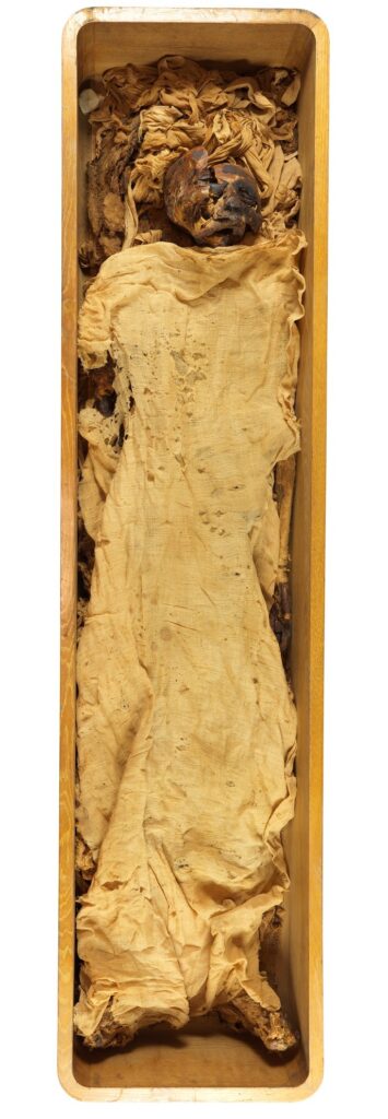 Ramses VI